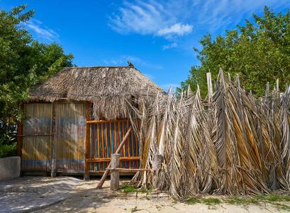 奥尔沃克斯热带的岛小木屋小屋采用墨西哥