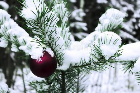 圣诞节玩具向一下雪的树