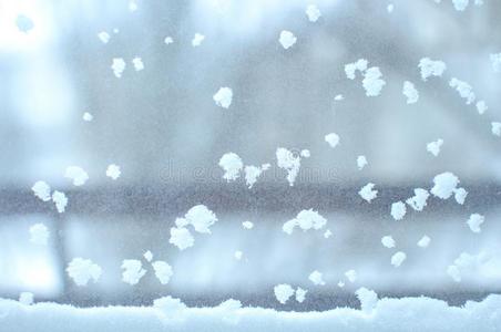 被雪困住的窗关在上面,室内的.季节的冬天气康迪