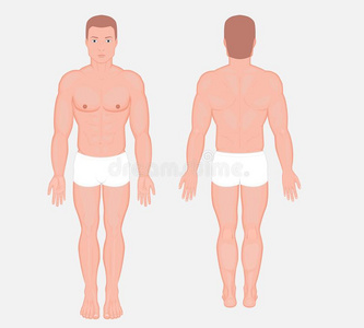 人解剖欧洲的男人身体