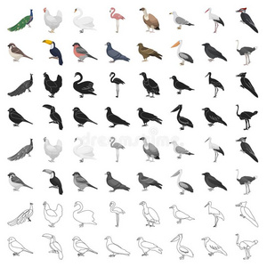 鸟放置偶像采用漫画方式.大的收集鸟矢量symbol象征