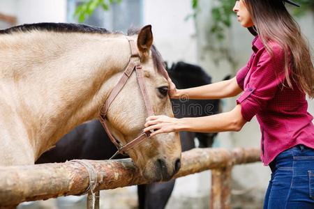 已提到的人黑暗的-有毛发的女孩是(be的三单形式按抚法指已提到的人马