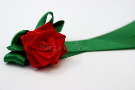 红色的玫瑰和绿色的花瓣使从一s一tin带