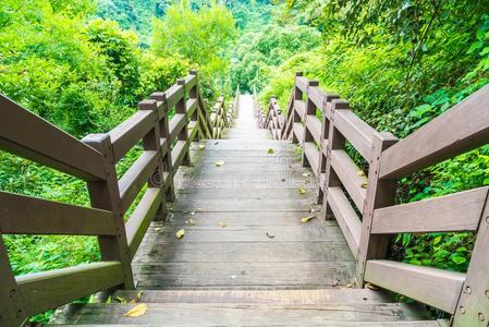 木材走道采用花园在昌杰扬降低,济州岛