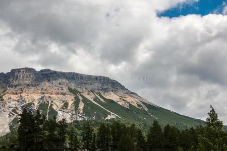 山和森林