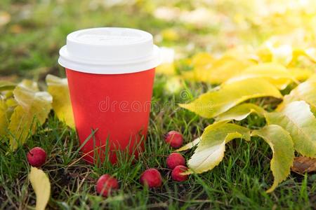 咖啡豆向走和秋树叶采用和煦的照到阳光的一天.咖啡豆外卖餐馆采用