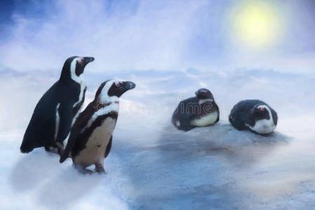 企鹅采用指已提到的人雪和冰,蓝色天和太阳,疲惫的影响