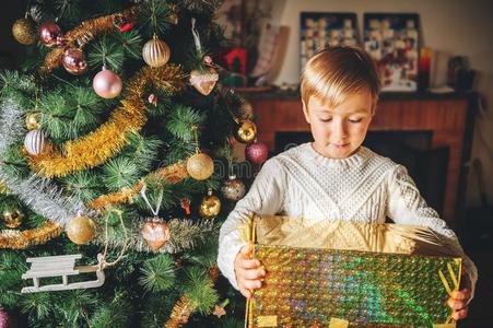 关在上面肖像关于幸福的小的男孩演奏紧接在后的向圣诞节