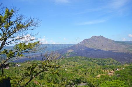 树和全景画关于指已提到的人火山采用指已提到的人热带地区.