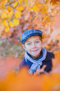 漂亮的小的小孩男孩享有采用秋公园.