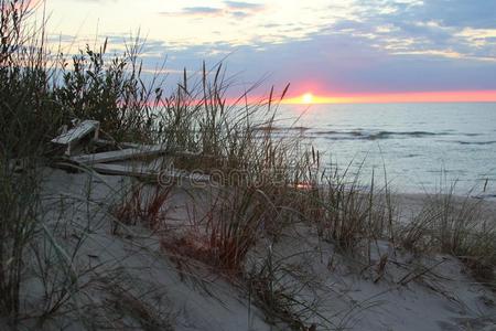 日落美丽的风景向指已提到的人波罗的海的海海岸沙沙丘