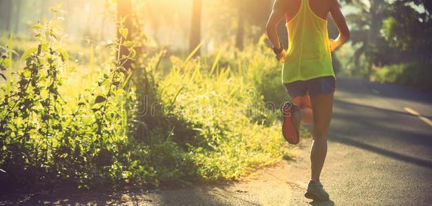 健康女人赛跑者跑步向指已提到的人森林跟踪