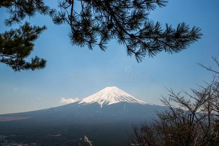 山紫藤在的后面指已提到的人村民