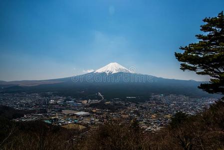 山紫藤在的后面指已提到的人村民