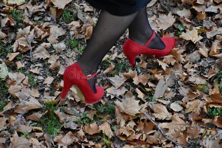 秋落下和树叶和红色的鞋子