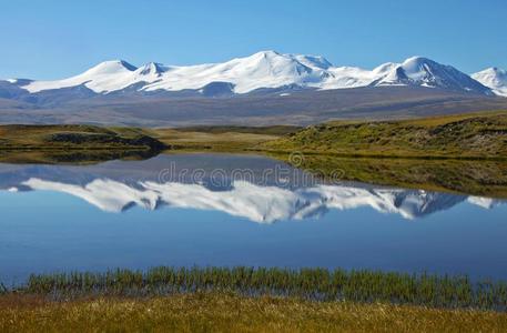 中西伯利亚高原风景风景干草原岸湖,乌科克高原,阿尔泰语,西伯利亚