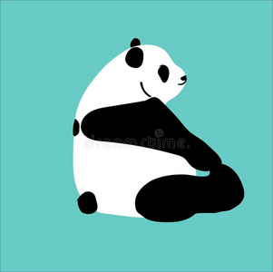 胖熊肥熊可爱的矢量熊猫坐和比赛脚照片