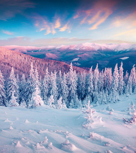 极好的冬日出采用喀尔巴阡山脉的mounta采用s和雪畏缩