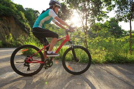骑自行车的人骑脚踏车兜风向森林跟踪照片