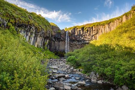 美丽的瀑布斯瓦尔提斯采用斯卡夫塔费德国家的公园,Iceland冰岛