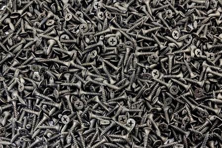 额窄一份额关于黑的小的螺丝钉向白色的背景照片