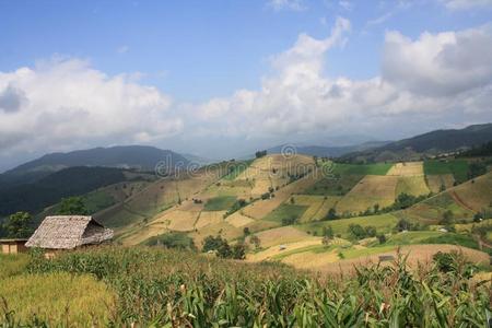 美丽的风景关于山采用自然