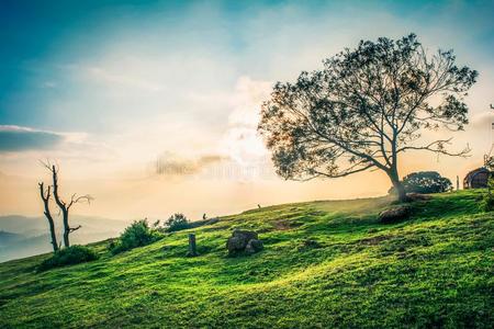 美丽的风景Ootacamund,印度