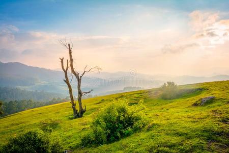 美丽的风景Ootacamund,印度