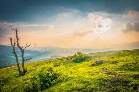 美丽的风景Ootacamund,印度