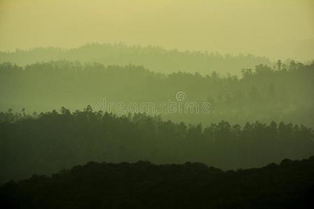 美丽的风景Ootacamund,印度