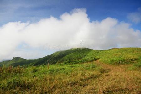 看法在一mount一采用r一nge和早晨雾采用一mount一采用v一lley