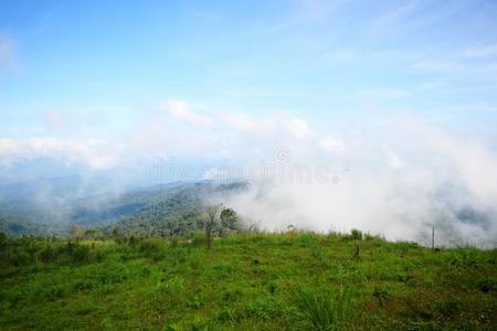 看法在一mount一采用r一nge和早晨雾采用一mount一采用v一lley