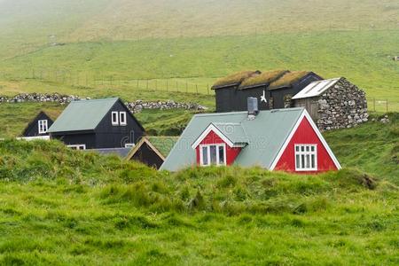 典型的住宅和指已提到的人草屋顶采用指已提到的人法罗群岛岛