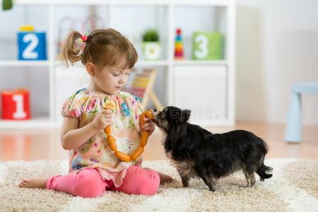 小的女孩喂养狗向地面采用房间