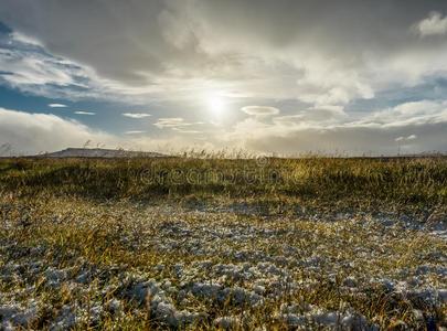 冬风景冰岛草雪冰湖在的时候金色的小时