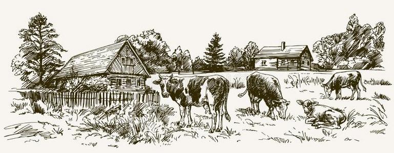 手挤奶图片-手挤奶素材-手挤奶插画-摄图新视界