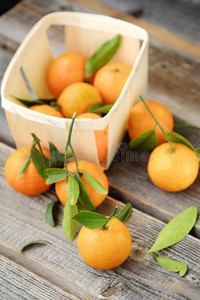 新鲜的美味的橘子和树叶向木制的表