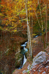 秋意盎然风景和峡谷和河