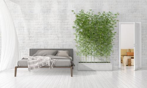 现代的内部设计关于卧室采用时尚和植物和copysp