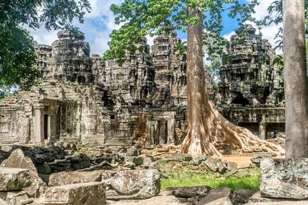 树生长的在上面进入中庙采用吴哥泰国或高棉的佛教寺或僧院
