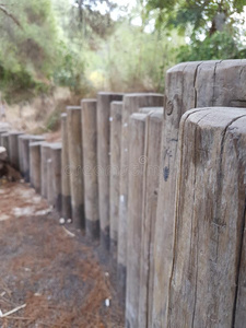 一低的栅栏使关于木制的树干采用指已提到的人公园