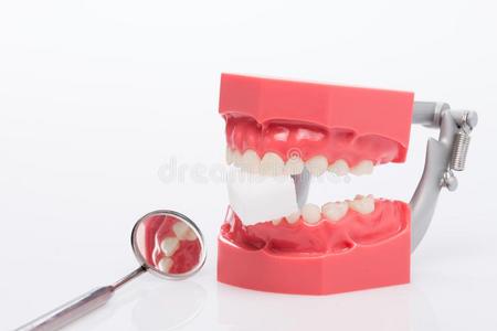 假牙,牙齿的健康状况,牙齿的卫生
