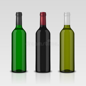 放置关于3现实的矢量瓶子关于葡萄酒在外部标签使隔离