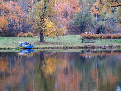 秋风景和富有色彩的森林,湖,反映和一bowel肠