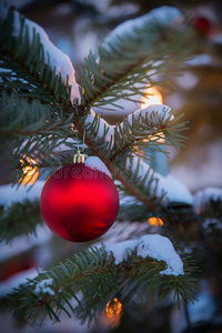 雪大量的冷杉树枝和红色的圣诞节小玩意和点火Cana加拿大