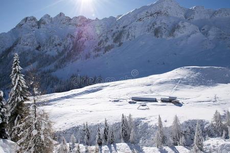 马尔加确信女低音和指已提到的人第一雪