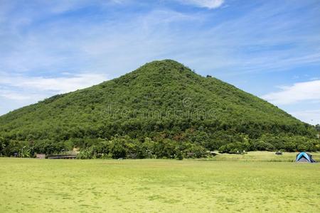 旅行支票人建造帐篷野营向草田为休息和