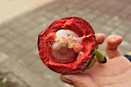 紫色的山竹果成果将切开采用一半的照片