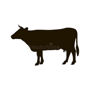 轮廓关于奶牛隔离的向白色的背景