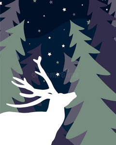 鹿采用衣着整洁的森林.夜.